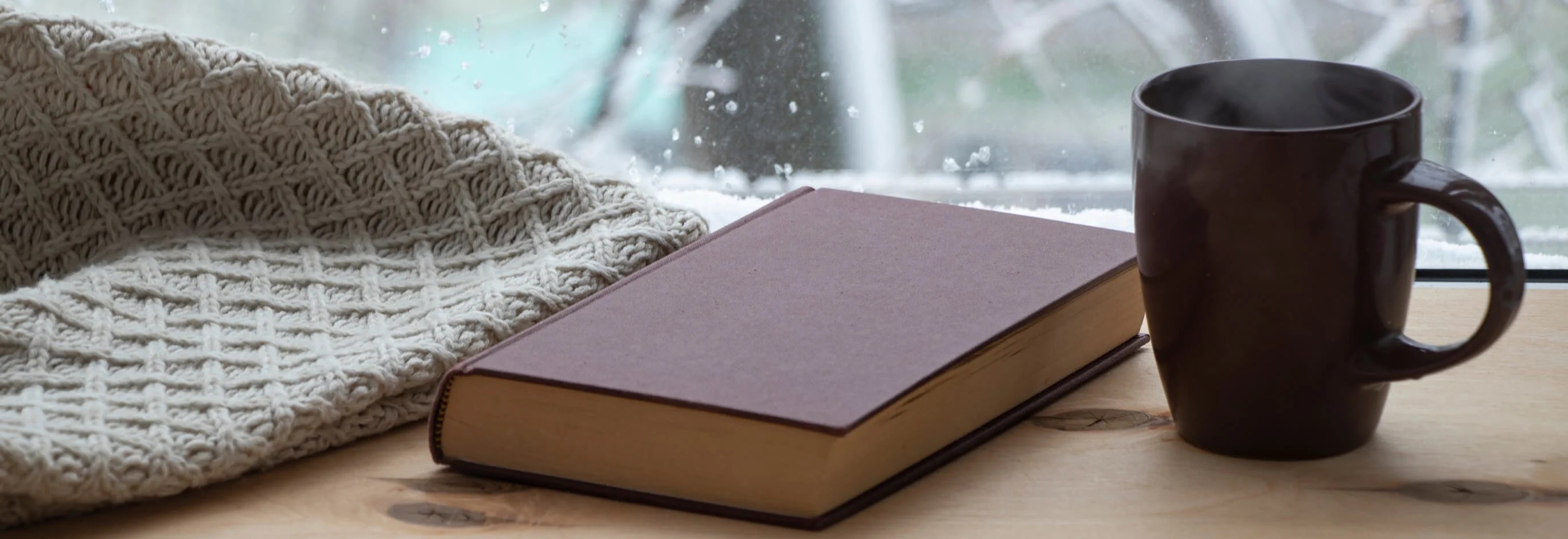 YA Books to Read on Your Next Snow Day Underlined