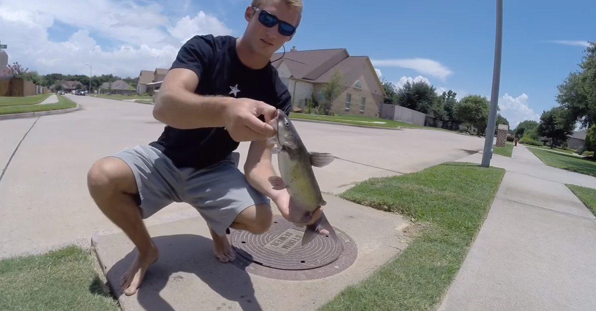 Watch a storm sewer your secret catfish paradise GetZone
