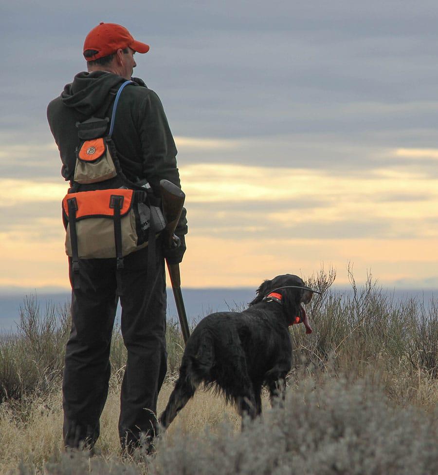 Buyer's Guide to the Best Hunting Gear for Your Furry Best Friend GetZone