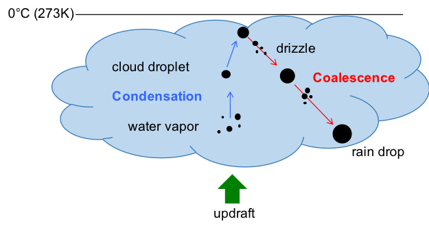 GEWEX Process Evaluation Study on Warm Rain (PROES WR) GEWEX
