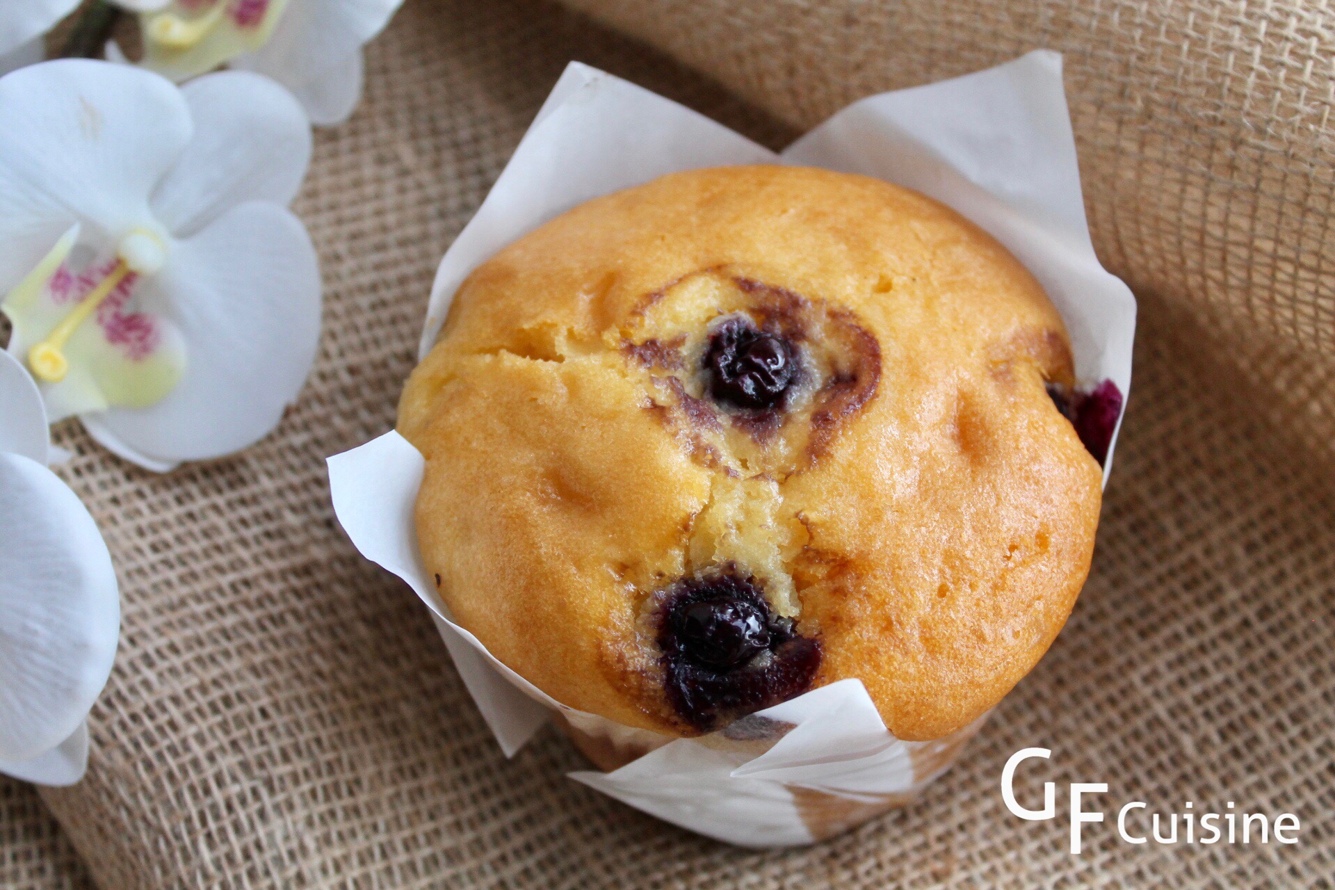 I am a gluten intolerant vegan and also avoid soy most of the time so am very happy to have found this recipe and your blog! -Blueberry Muffins - Gf Cuisine