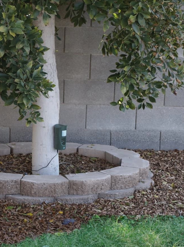 How to Stop Birds from Pooping on Deck? GFL Outdoors