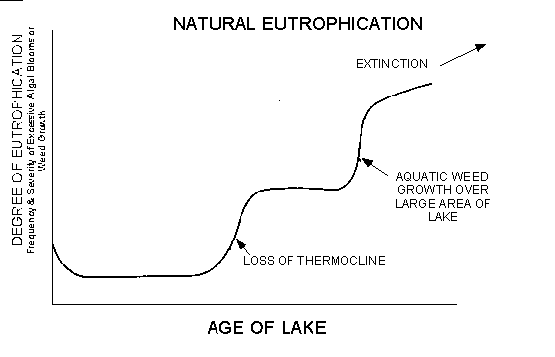 Eutrophication Lake Diagram