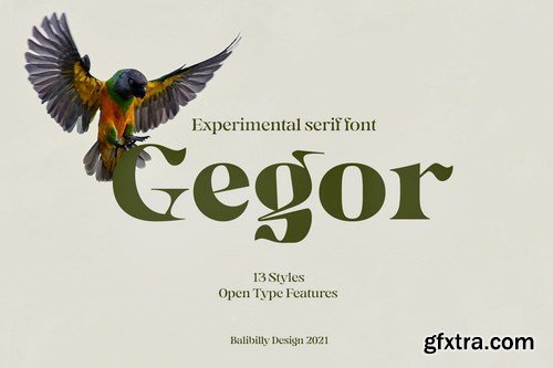 CM Gegor Serif Display Font 6187832 » GFxtra