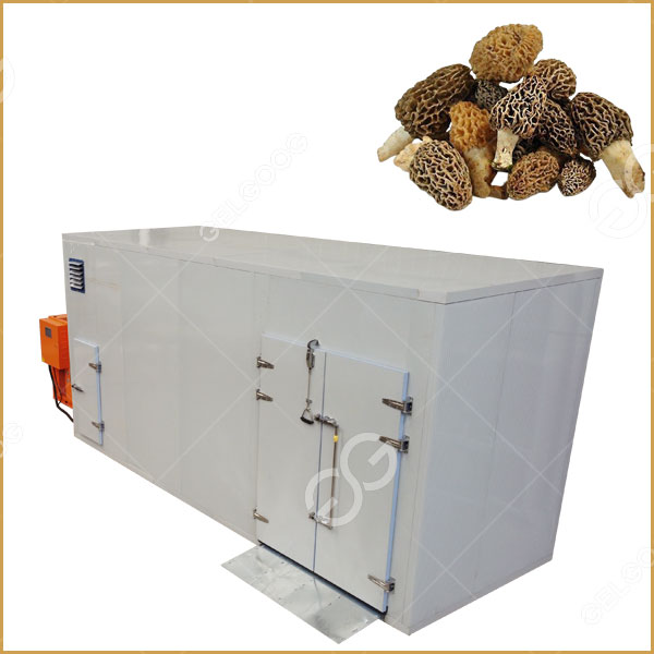 Oyster Mushroom Drying Machine Mushroom Dehydrator