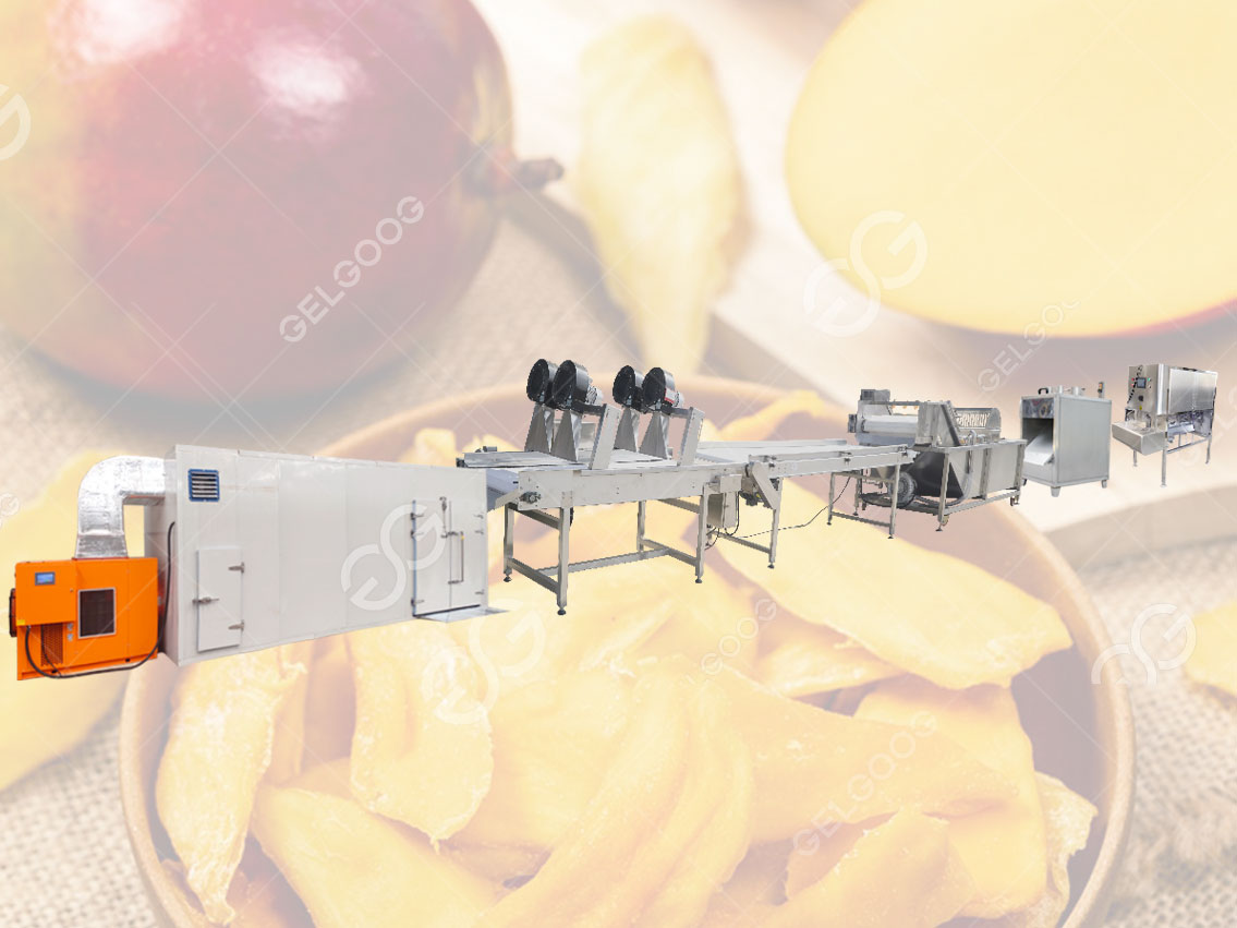 Industrial Dried Mango Production Processing Plant
