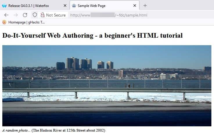 Waterfox G4.0.3.1 insecure connection warning