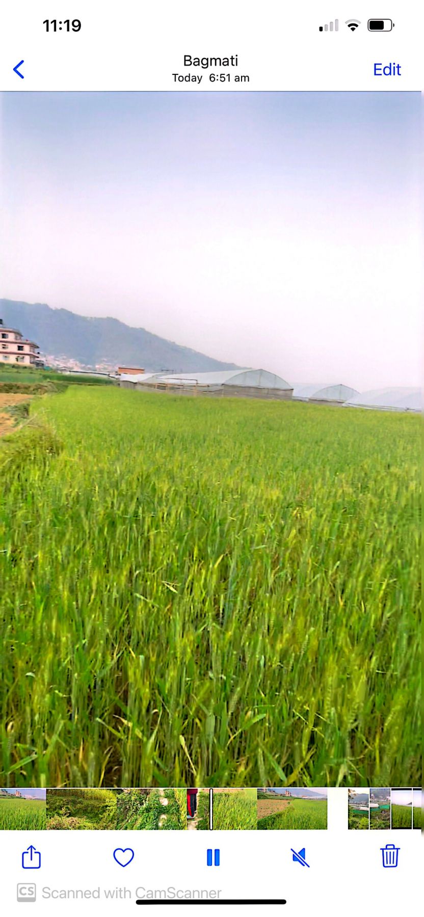 Godavari Single plot 26 Anna, Land for sale Negotiable