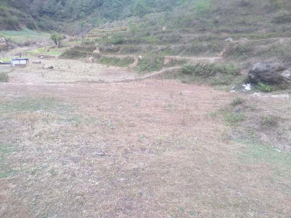 Land on sale at pharping