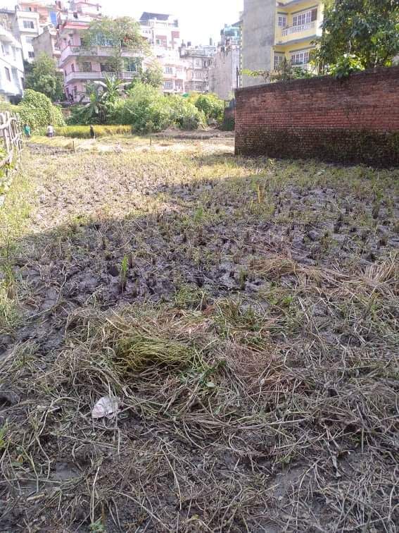 Land for sale in Basundhara, inside ring road