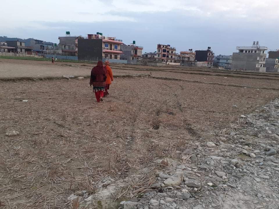 cheap land for sale in Pokhara, Kamalpokhari Puruwa side