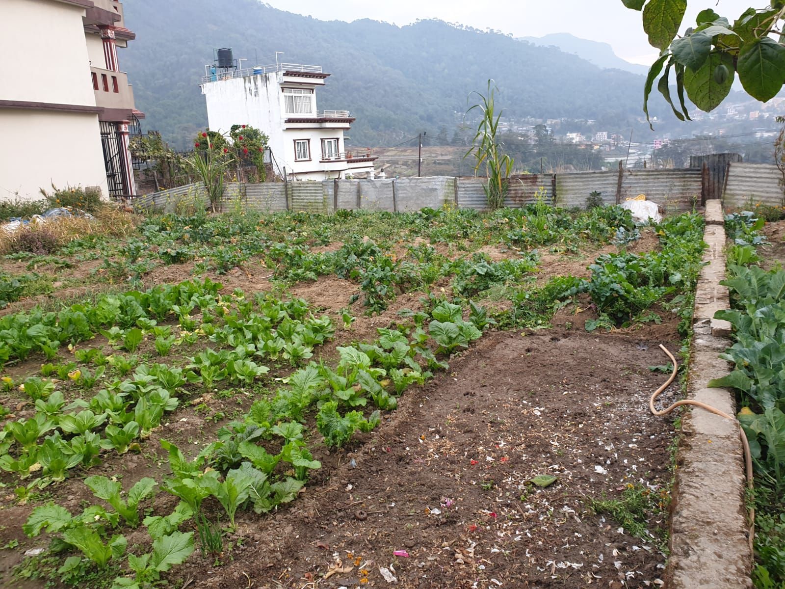 Land for sale in Tokha2