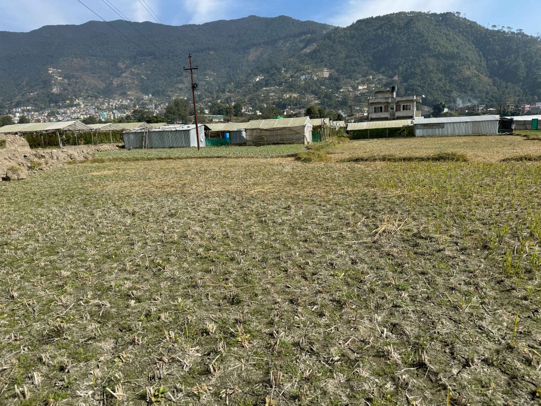 Residential Land on sell At Tokha