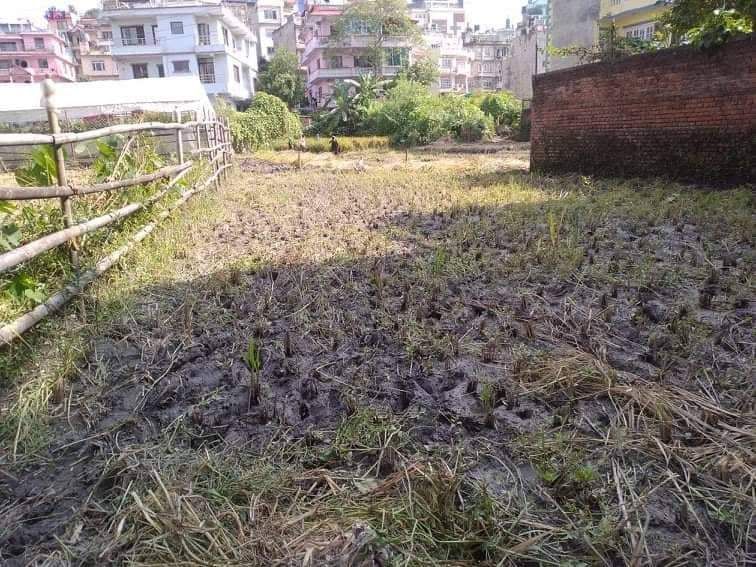 Land for sale in basundhara, kathmandu