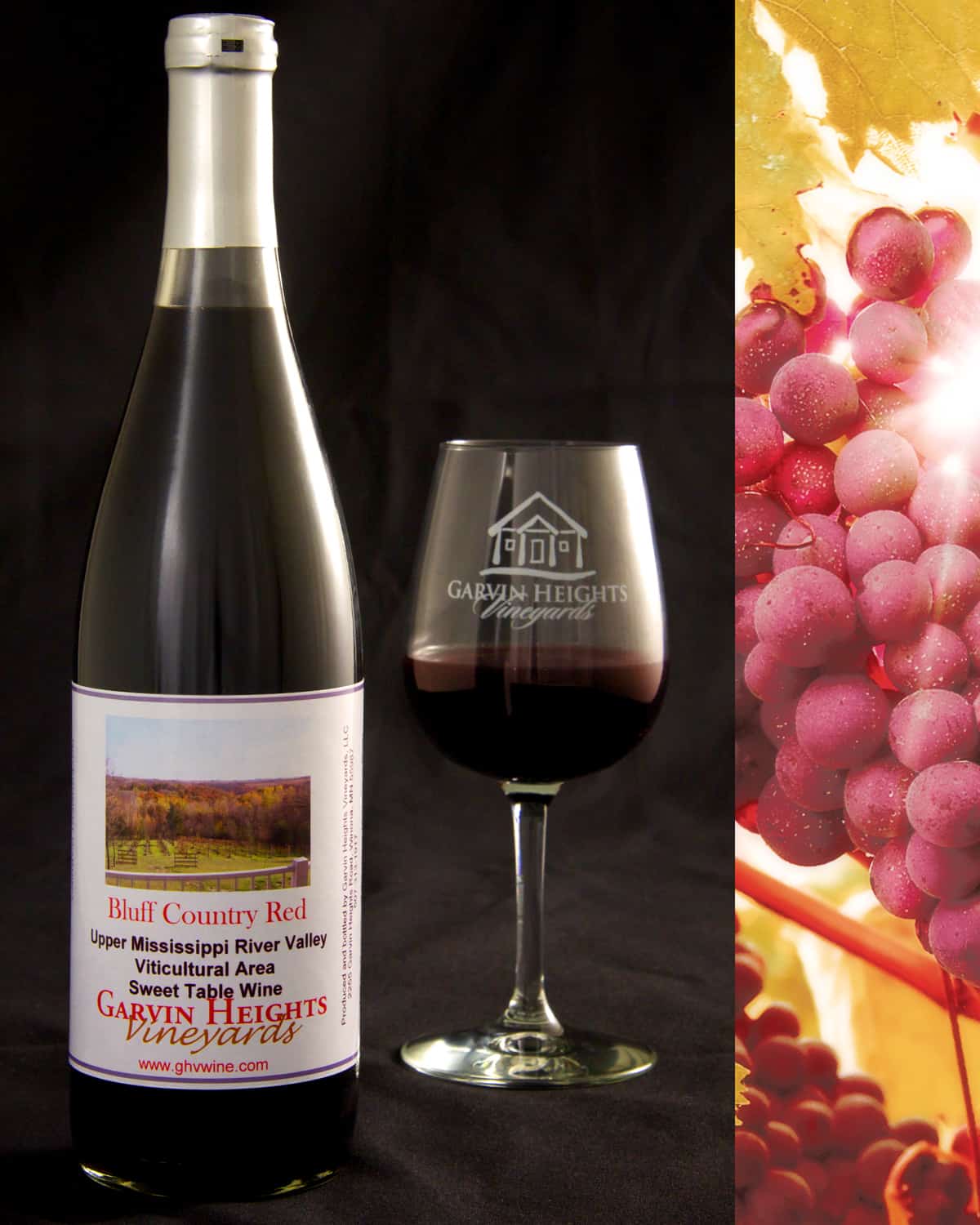 White Wines Dry Sweet, White Wines Descriptions, List of White Wines