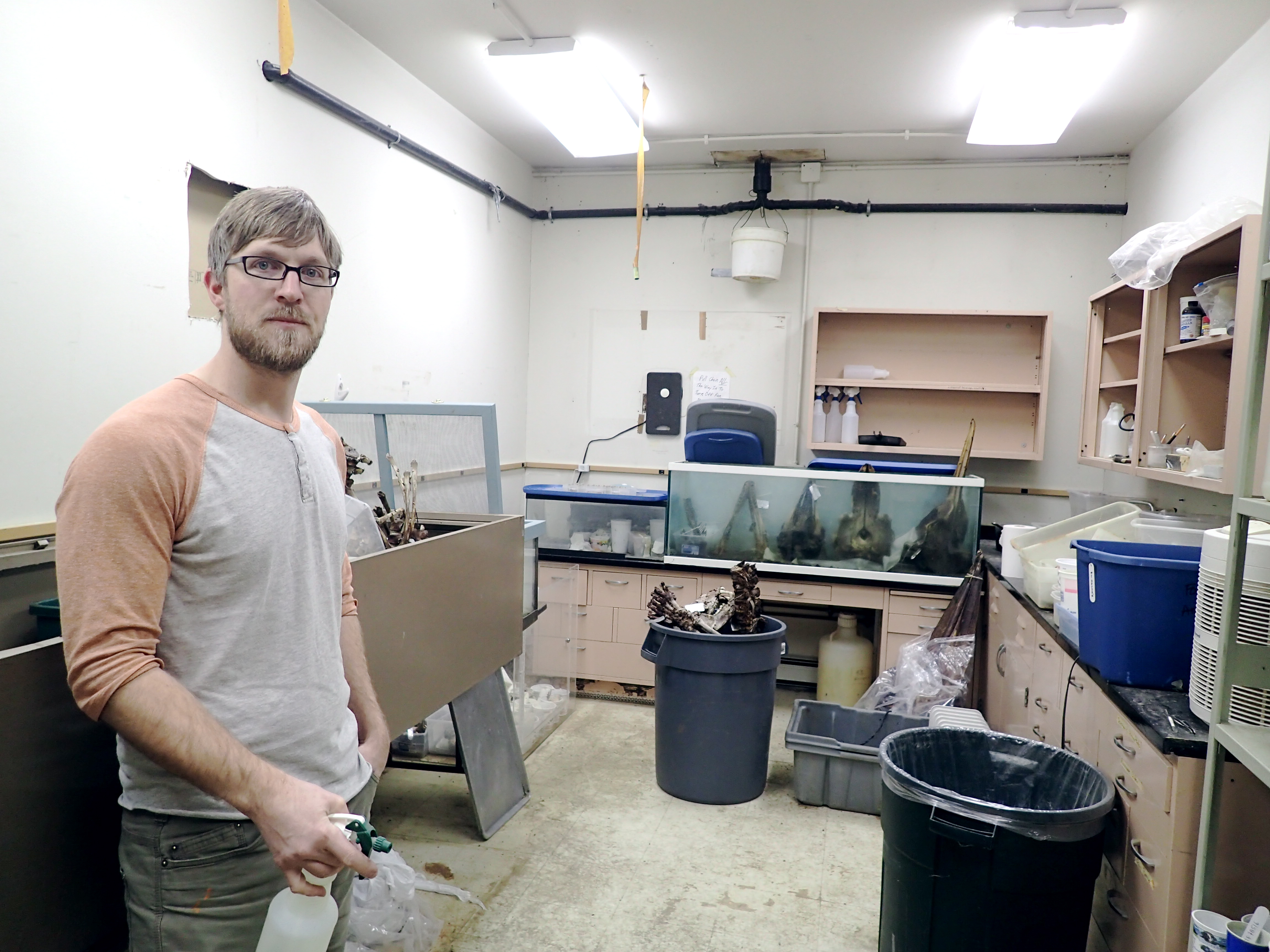 Flesheating bugs in the name of science Geophysical Institute