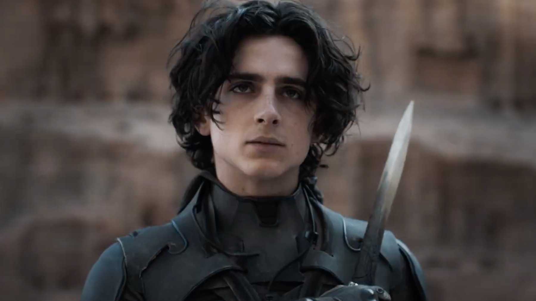 Timothee Chalamet Will Be Replaced As Lead By Zendaya In Dune 2