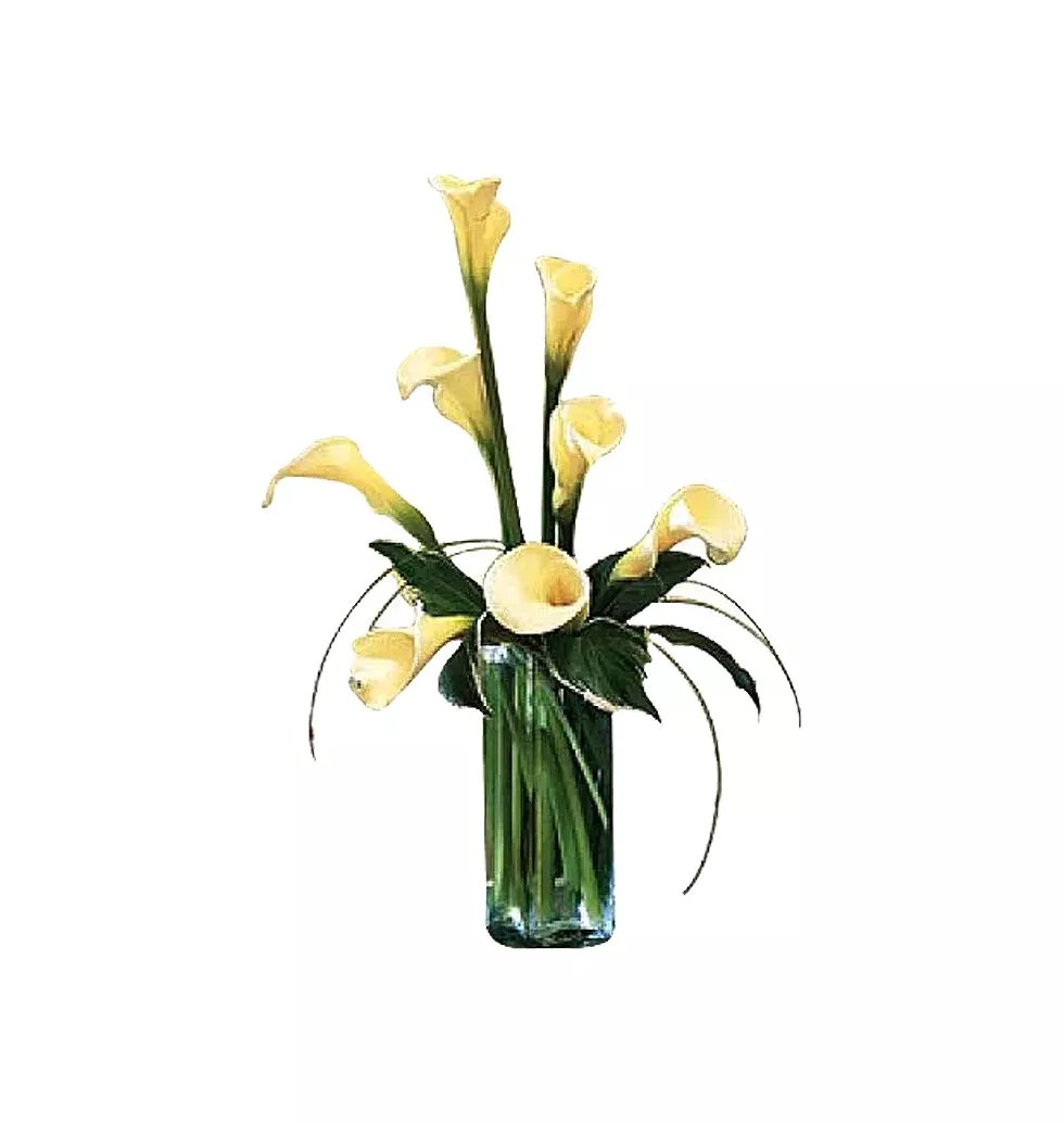 Send Calla Lilies To Philippines