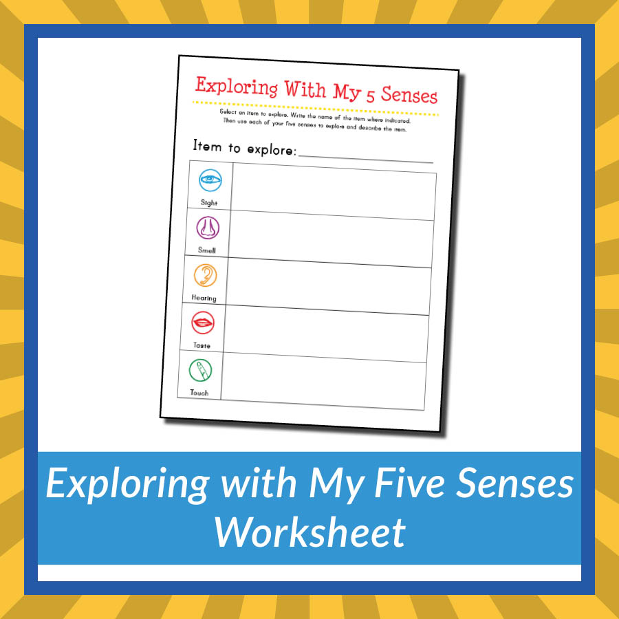 5 Senses Worksheet