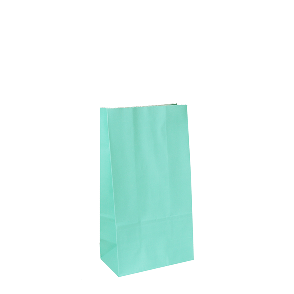 Coloured Gift Bags Mint Green Kraft Paper Bags