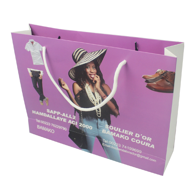 Custom Printed Shopping and Boutique Gift Bags With Your Logo HS™