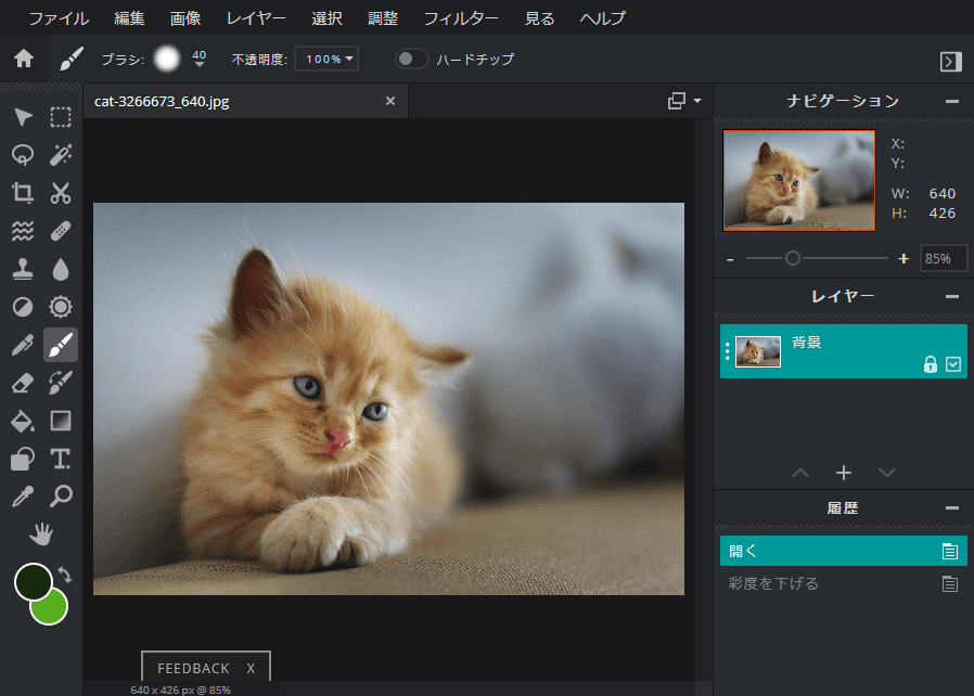 PIXLR E（Pixlr Editor） スクリーンショット k本的に無料ソフト・フリーソフト