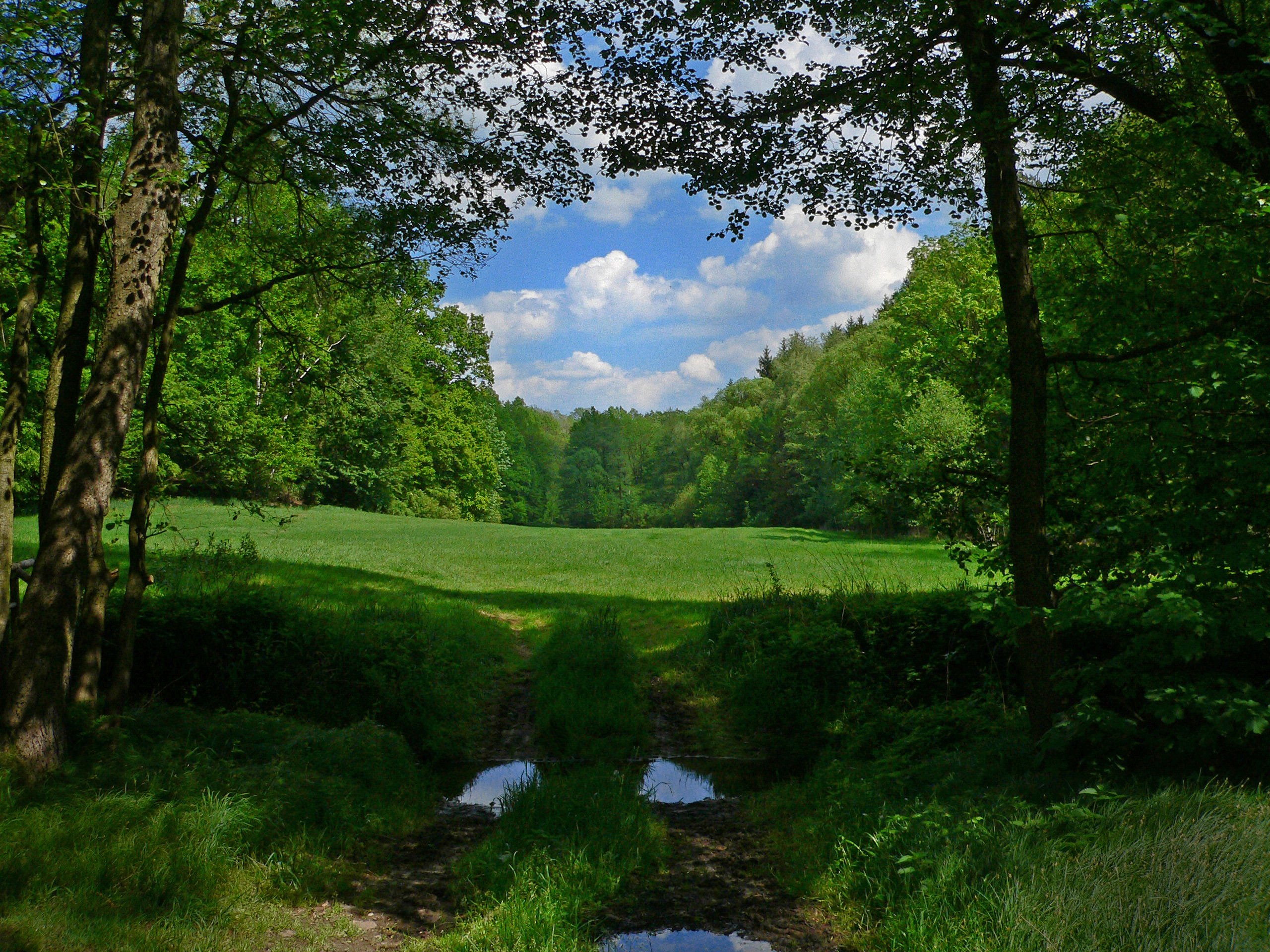 InfrarotEffekt (MonochromBilder) — Tutorials — gimpusers.de