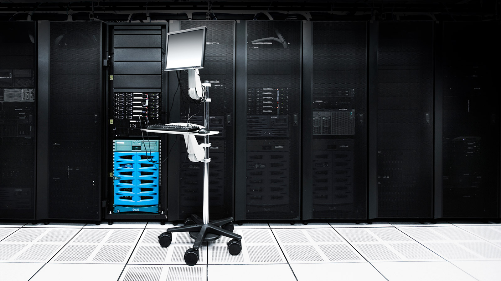 Gingco Systems Services, Support und
