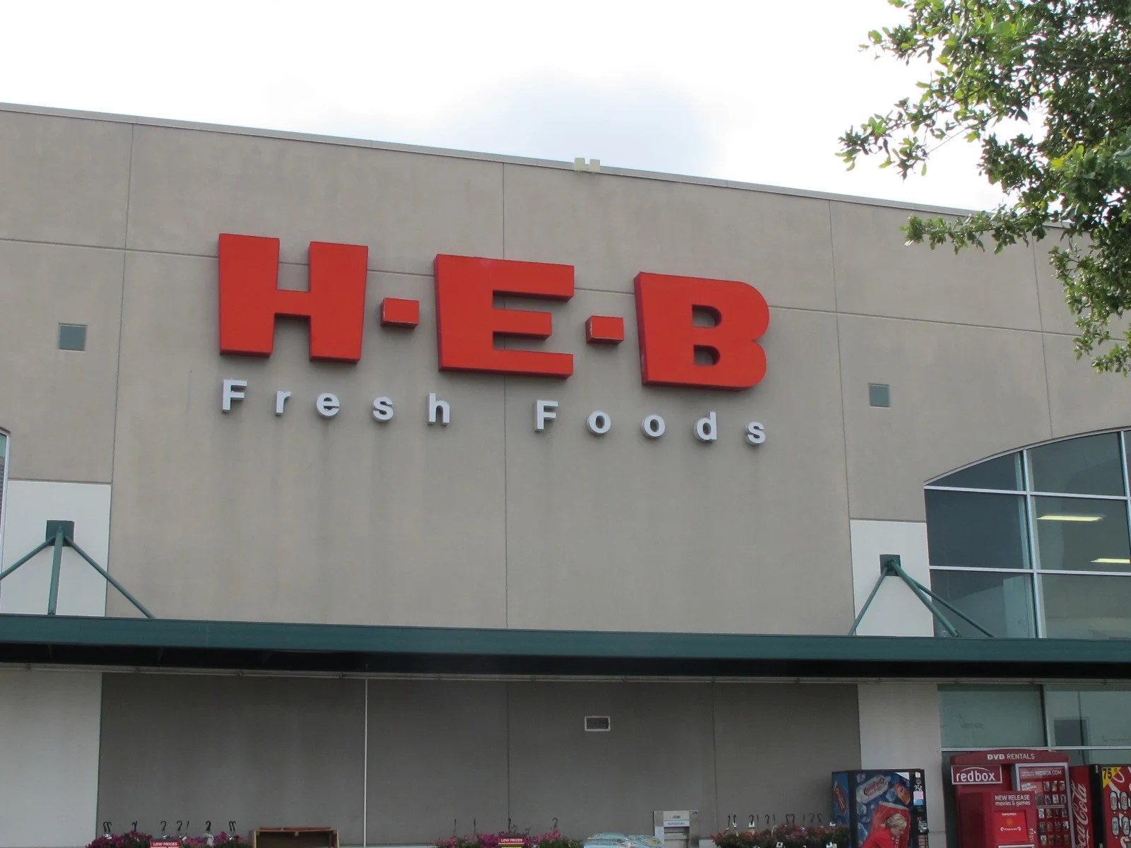 Why I switched to HEB Ginger Casa