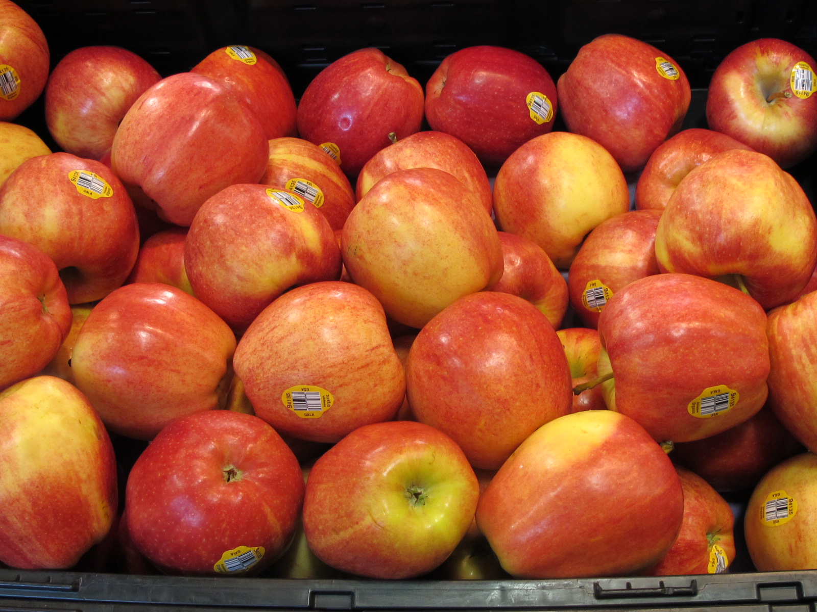 Why I switched to HEB Ginger Casa