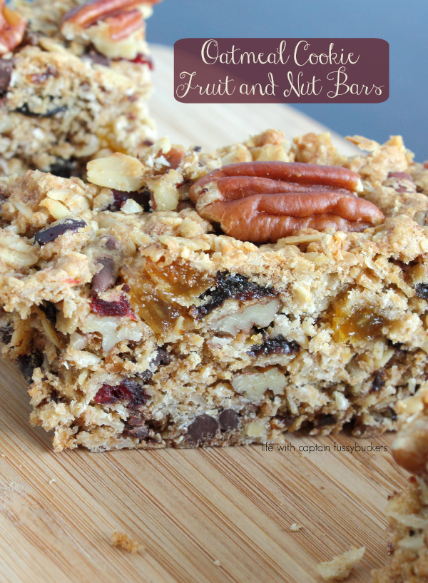 Chocolate Oatmeal Cookie Fruit and Nut Bars Recipe