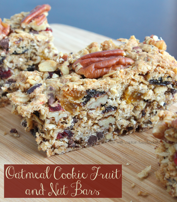 Chocolate Oatmeal Cookie Fruit and Nut Bars Recipe