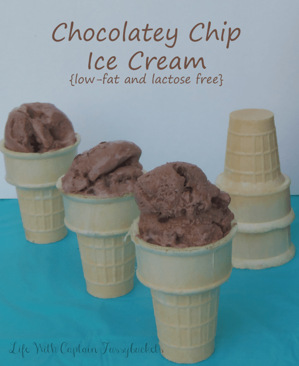 Chocolately Chip Lactose Free Ice Cream