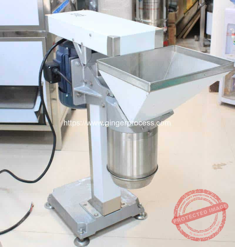 Automatic Ginger Paste Grinder Making Machine for Ghana Customer