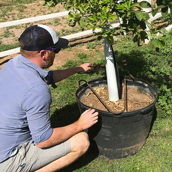 Nursery Application For The GTI Stake Protects Container Tree