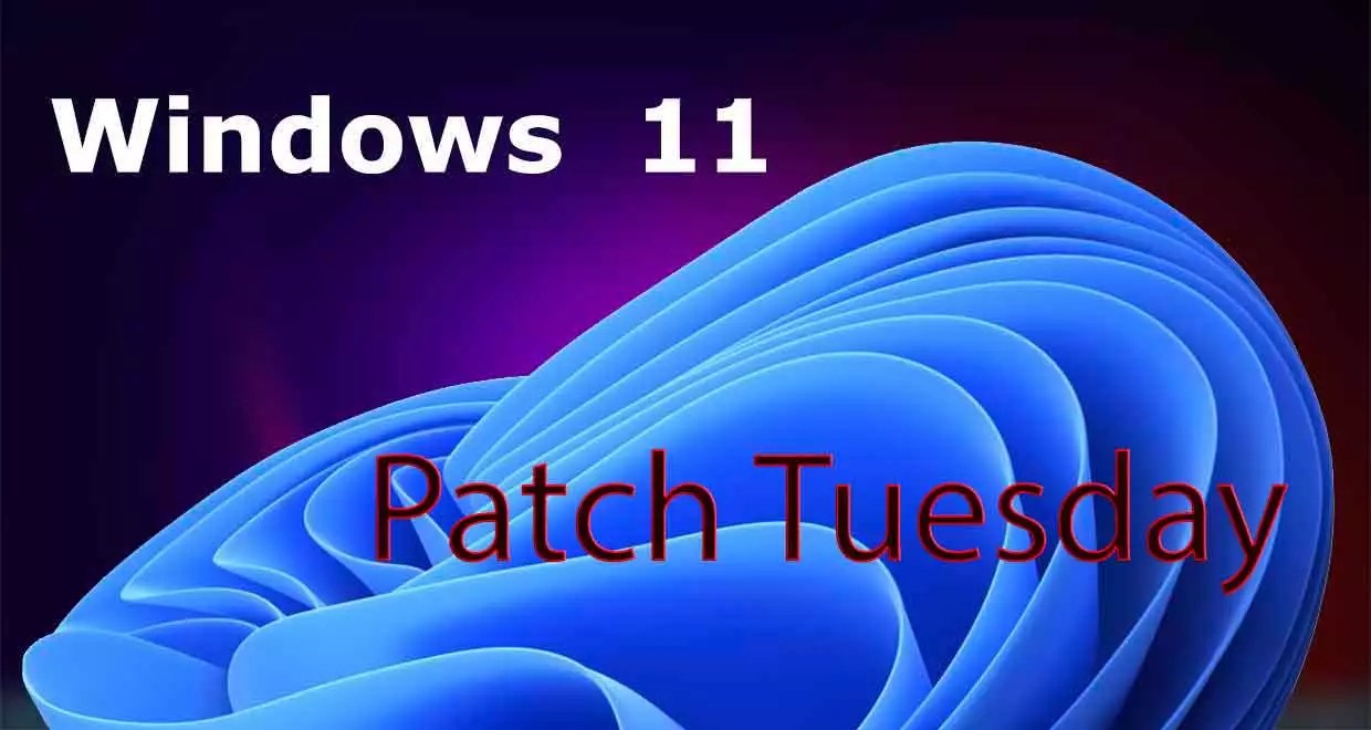 Patch Tuesday, décryptage de la mise à jour Windows 11 KB5034123 GinjFo