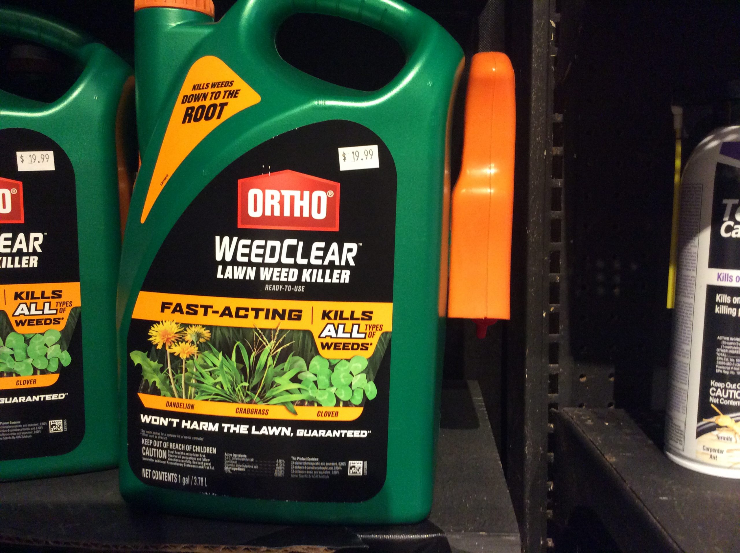 ORTHO WEED CLEAR1 GAL. Giordano's