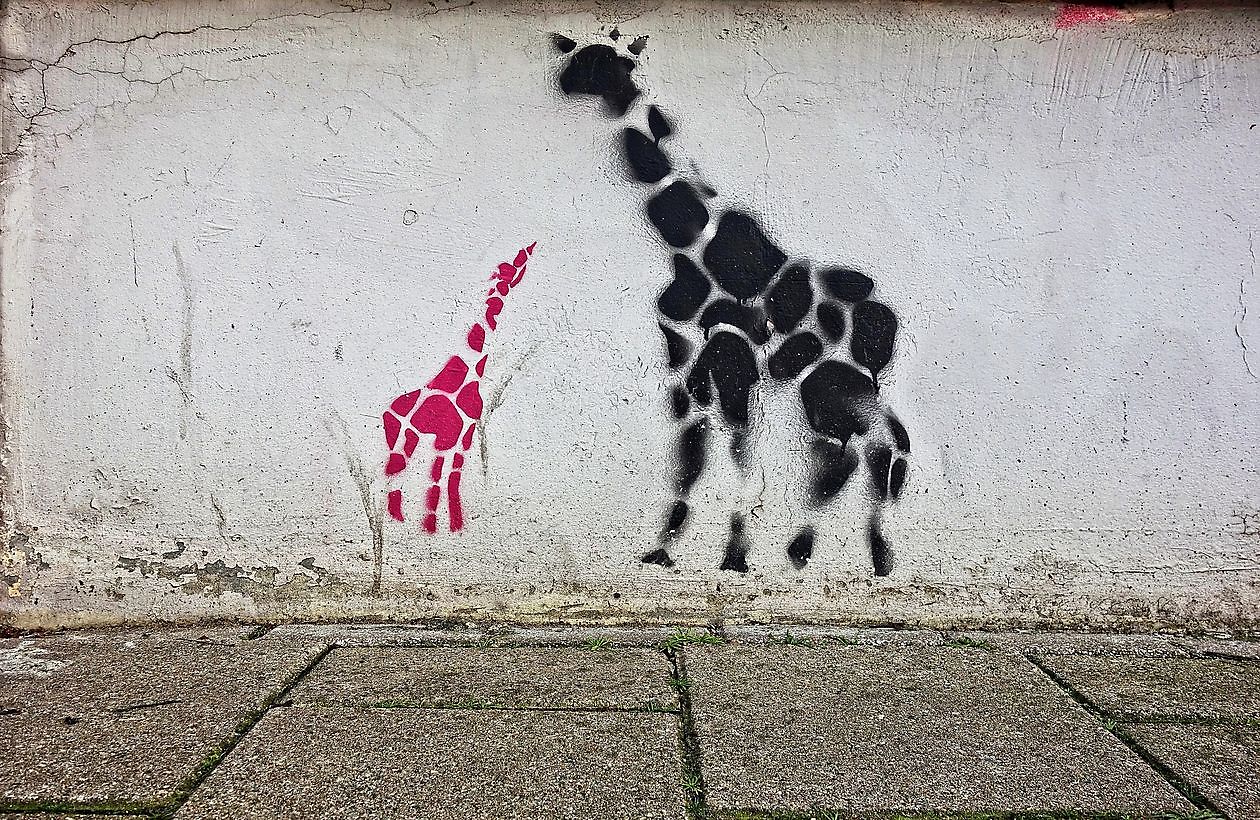 Banksy Giraffi Graffiti Removers