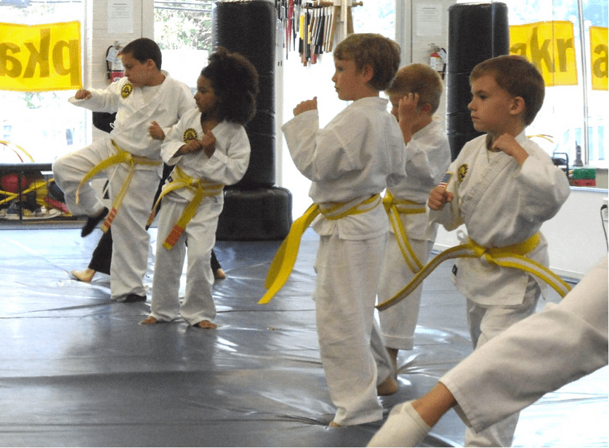 Positive Relationship Between Martial Arts and Autism Giri Martial