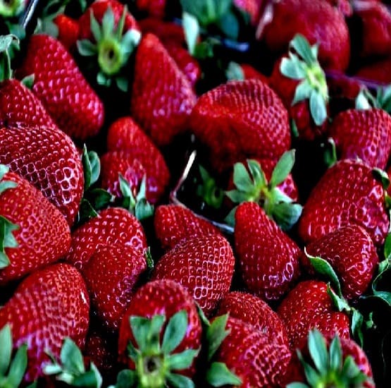 Mahabaleshwar Strawberry GITAGGED® A Wonderland of Fruits