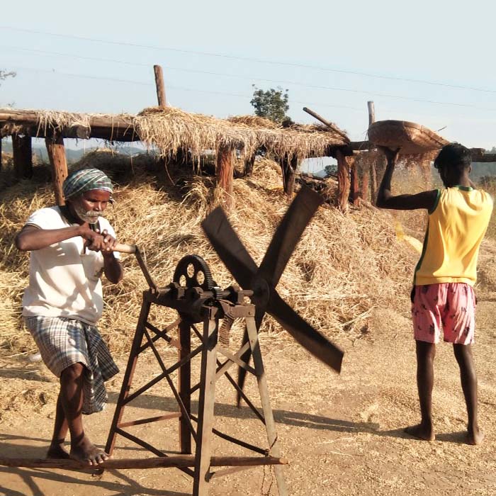 Jeeraphool Rice Online 150+ Regional Specialties GiTAGGED