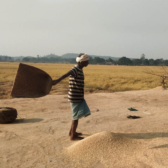 Jeeraphool Rice Online 150+ Regional Specialties GiTAGGED