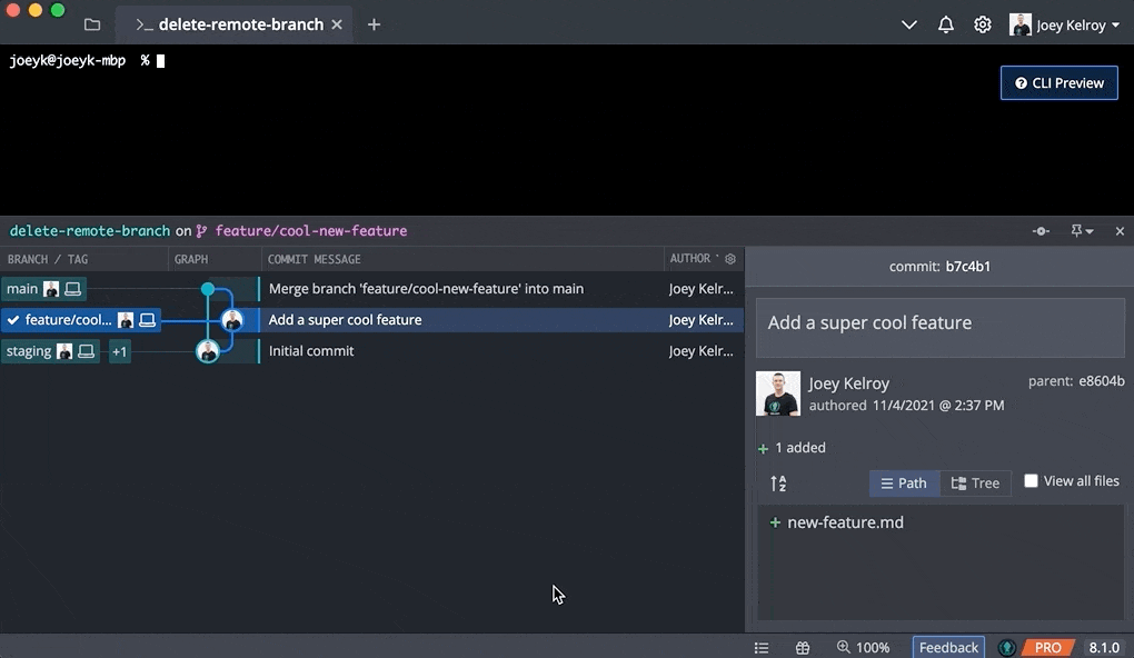 How do you delete a remote Git branch? Solutions to Git Problems