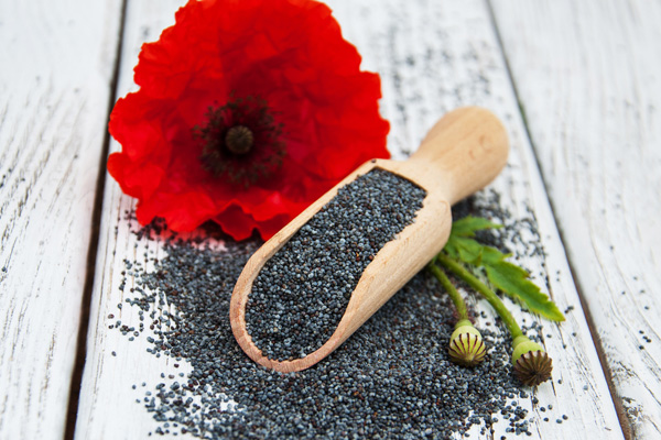 Gelateria 5 ingredienti per attirare nuovi clienti! Giuso