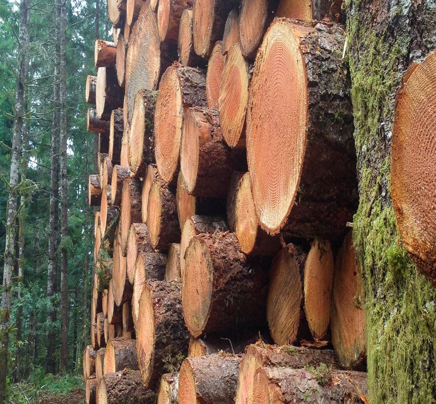 Contact Giustina Land & Timber Co.