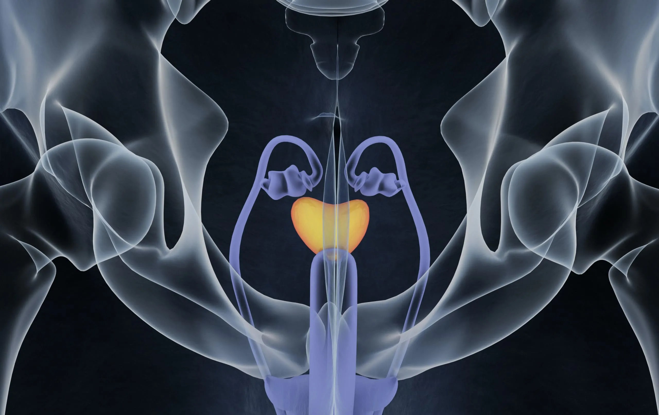 The importance of the vas deferens Legacy