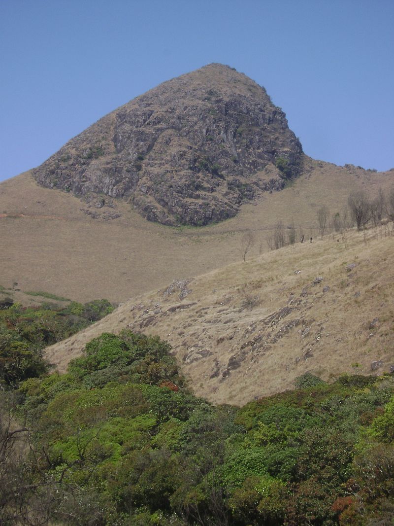 neelgiri peak