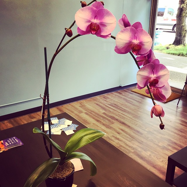 About Us Ballard & Seattle Glacier Chiropractic