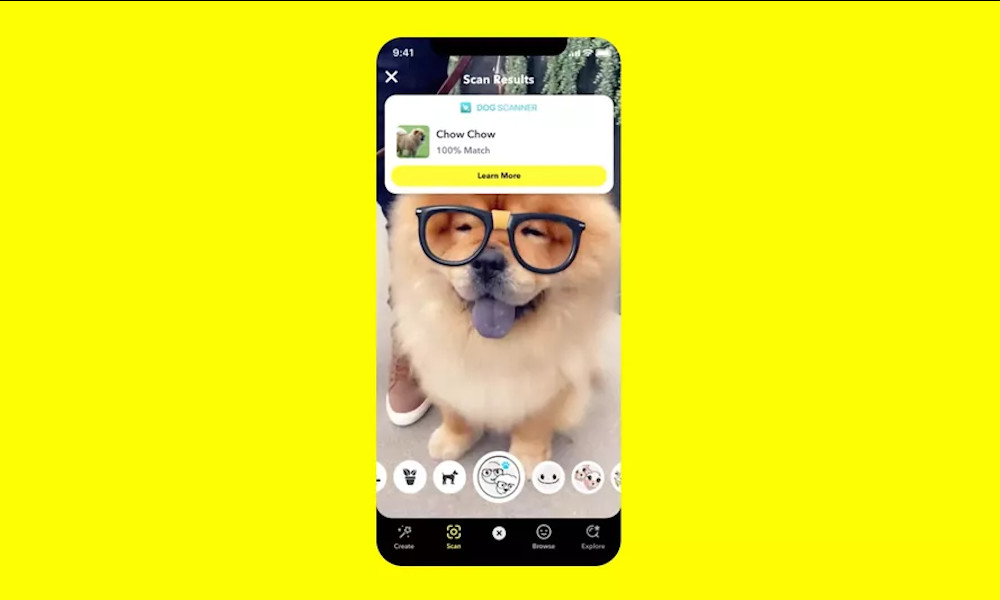 Identify luscious plants and cute pooches right in