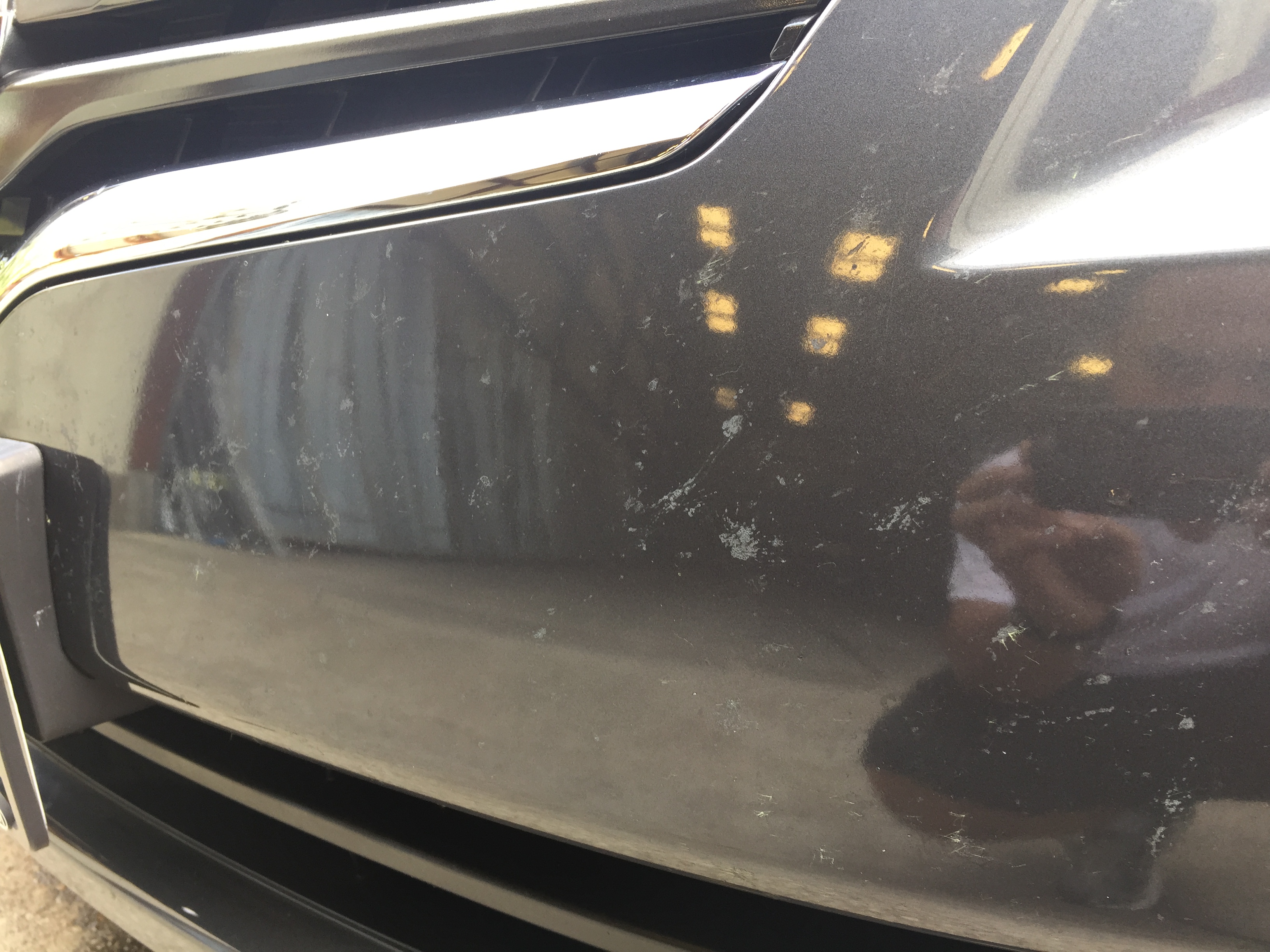Don't let the bugs bite your Vehicle.